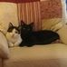 Richard Federman - Facebook