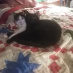 Richard Federman - @mark041358 - Instagram
