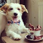 Richard Filbert Haoe - @haoerichardfilbert - Instagram