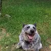 Ricardo Glez - @richard.firestone - TikTok