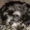 Rick Firestone - @rick.firestone - TikTok