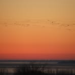 Richard Flack - Facebook