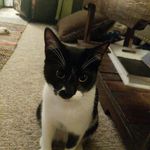Richard Florek - @richardlikesf00d - Instagram