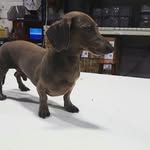Richard Flowers - @richardwflowers - Instagram