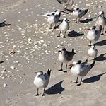 Deb Folger Richardson - @folgerrichardson - Instagram