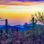 Richard Folsom - @photowordsmith_ - Instagram