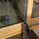 Richard - @richard.foreman0209 - Instagram