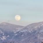 Richard Foreman - Facebook