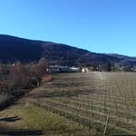 Richard Foreman - @richardforeman65 - Instagram