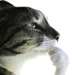 Richard Formanek - @richard_formanek - Instagram