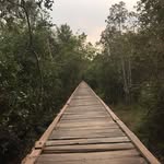 Richard Forney - @forney2687 - Instagram