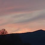 Richard Frady - @richard.frady.52 - Instagram