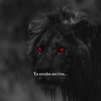 Richard Freire  - Facebook