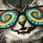 Richard Freitag - @rfriday184 - Instagram