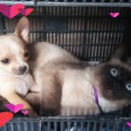 Richard Galindo Maceda - Facebook