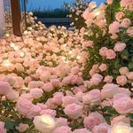 Richard Garry - @richardgarry585 - Instagram