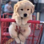Richard Gauchet - @gauchet.richard - Instagram
