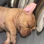 Richard Gazola Alvrenga - @richardgazolaalvrenga - Instagram