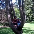Richard Ge - Facebook