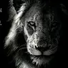 Richard Gee - @richardgee5 - TikTok