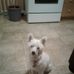 Rick Gemmell - Facebook
