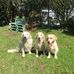 Richard Geschke - Facebook