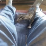 Richard Gessner - @richard.gessner.923 - Instagram