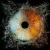 Gurtz Richard - Facebook