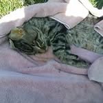 Richard Gillian - @richard.gillian.14 - Instagram