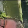 RichardGillianZ - @richardgillianz - TikTok