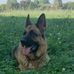 Richard Gilroy - Facebook