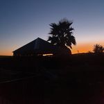 Richard Gissing - @richardgissing77 - Instagram