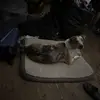 Richard Gladones - @richard.gladones - TikTok