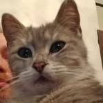 Richard Goodnight - @richardgoodnight - Instagram