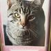 Richard Gosnell - Facebook