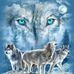 Richard Gotts - Facebook
