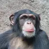 Richard Gottstein - @richard.gottstein - TikTok