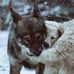 Richard Gottschalk - Facebook