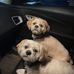 Richard A. Gracey - Facebook