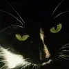 richard.grani - @richard.grani - TikTok