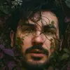 viridian_regnatus - @richardgranger4 - TikTok