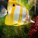 Richard Grasmick - Facebook