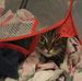 Richard Gratz - Facebook