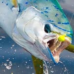 Richard Greenidge - @greenidge.richard - Instagram