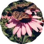 Richard Gresham - @crazyomnium - Instagram