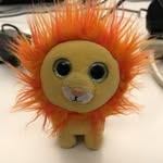 Mr. Lion - @richard.grider - Instagram