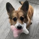 Richard Grieš - @richard.gries2 - Instagram