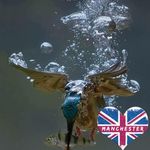Richard Grimshaw - @grimshaw.richard - Instagram