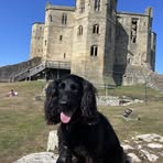 Richard Grindrod - Facebook