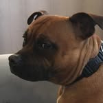 Richard Groenewold - @richard.groenewold.3 - Instagram
